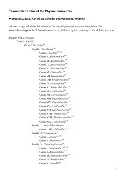 Taxonomic Outline of the Phylum Firmicutes
