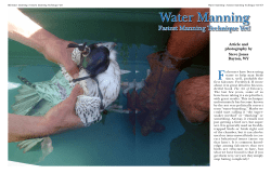 Water Manning - American Falconry magazine