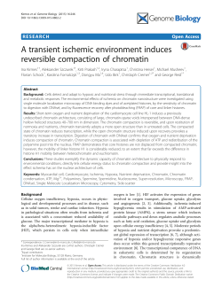 A transient ischemic environment induces