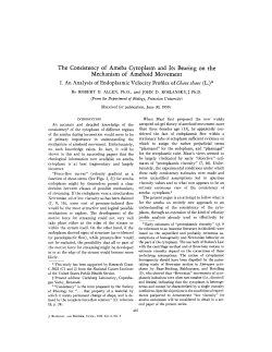 The Consistency of Ameba Cytoplasm and Its