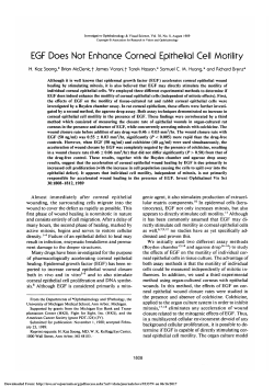 EGF does not enhance corneal epithelial cell motility.