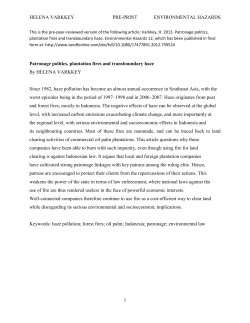 Patronage politics, plantation fires and transboundary