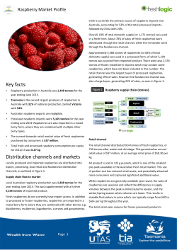 Raspberry Market Proﬁle