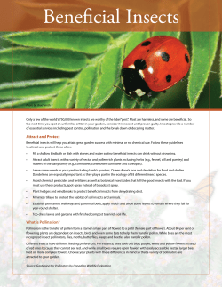Beneficial Insects
