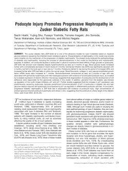 Podocyte Injury Promotes Progressive Nephropathy in