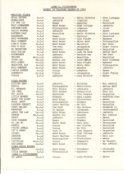 "Horses in Training" for 1963