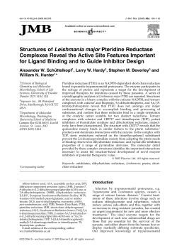 Structures of Leishmania major Pteridine