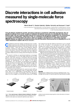 Discrete interactions in cell adhesion measured by single