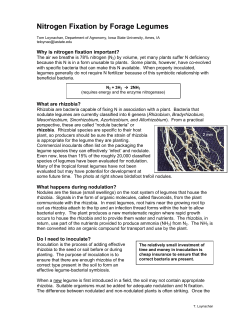 Nitrogen Fixation by Forage Legumes - public.iastate.edu
