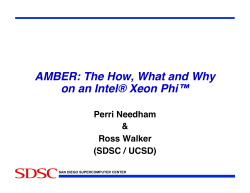 AMBER- How, What and Why on a Xeon Phi.pptx