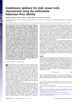 Evolutionary optimum for male sexual traits