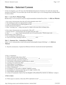 Meiosis - Internet Lesson