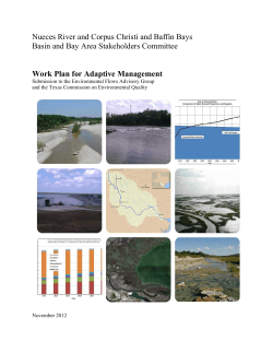 Nueces BBASC Work Plan for Adaptive Management