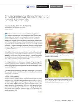 Environmental Enrichment for Small Mammals