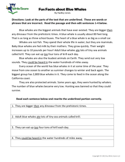 Fun Facts about Blue Whales