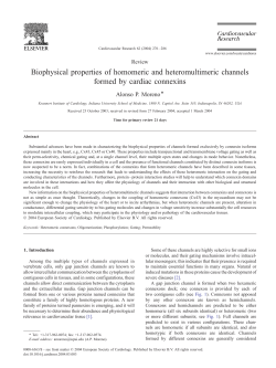 Biophysical properties of homomeric and heteromultimeric channels