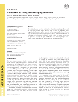 Approaches to study yeast cell aging and death