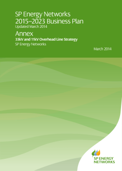 33kV and 11kV Overhead Line Strategy