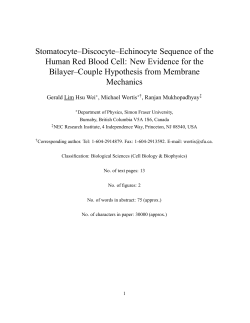A numerical study of the mechanics of human red blood cell shape