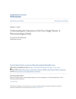 Understanding the Experience of Air Force Single Parents: A