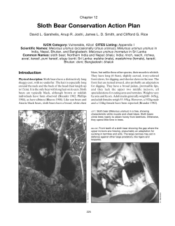 Sloth Bear Conservation Action Plan