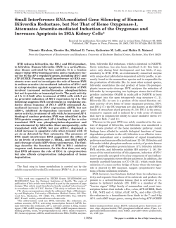Small Interference RNA-mediated Gene Silencing of