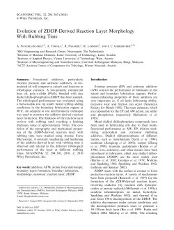 Evolution of ZDDPderived reaction layer morphology with rubbing time