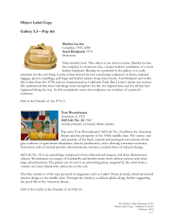 Object Label Copy Gallery L3 – Pop Art