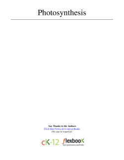 Photosynthesis - cloudfront.net