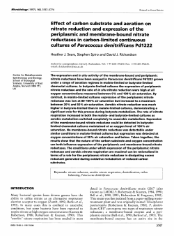 Effect of carbon substrate and aeration on nitrate