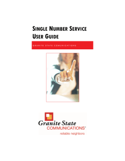 single number service user guide