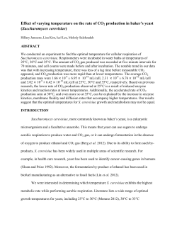 Effect of varying temperature on the rate of CO2 production in