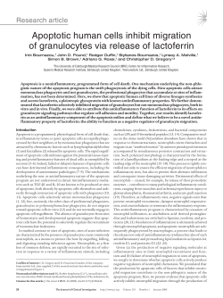 Apoptotic human cells inhibit migration of granulocytes via