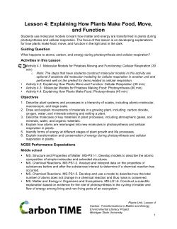 Lesson 4: Explaining How Plants Make Food, Move, and Function