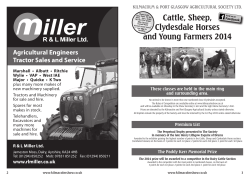 Cattle, Sheep, Clydesdale Horses and Young
