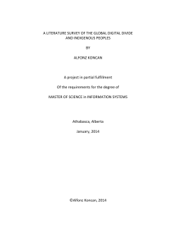 a literature survey of the global digital divide and indigenous peoples