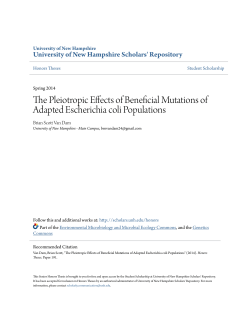 The Pleiotropic Effects of Beneficial Mutations of Adapted