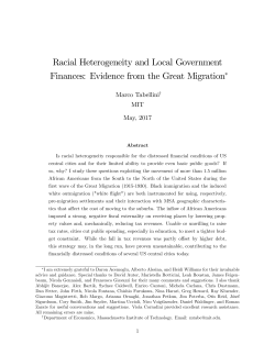Racial Heterogeneity and Local Government
