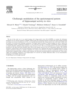Cholinergic modulation of the spatiotemporal pattern of