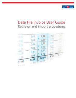 How can I export and use my Data File Invoice?
