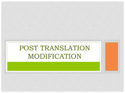 Post translation modification + Gene regulation