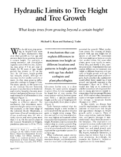 Hydraulic Limits to Tree Height and Tree Growth