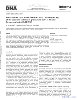 Mitochondrial cytochrome oxidase I (COI) DNA sequencing of the