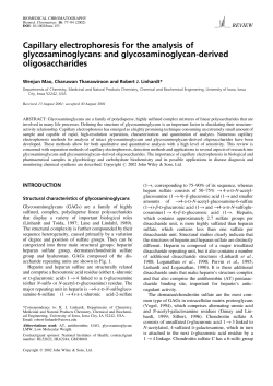 Capillary electrophoresis for the analysis of glycosaminoglycans