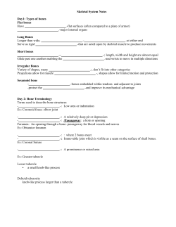 Skeletal System Notes Day1: Types of bones Flat bones Have .