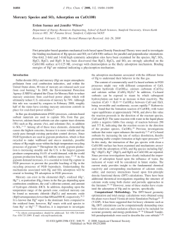 Mercury Species and SO2 Adsorption on CaO(100)