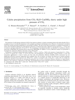 Calcite precipitation from CO2&ndash;H2O&ndash;Ca(OH)2 slurry under