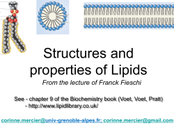 Les Lipides