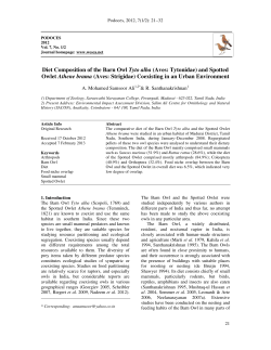 Diet of Barn Owl and Spotted Owlet