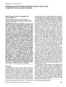 Spontaneous and ENU-induced mutation spectra